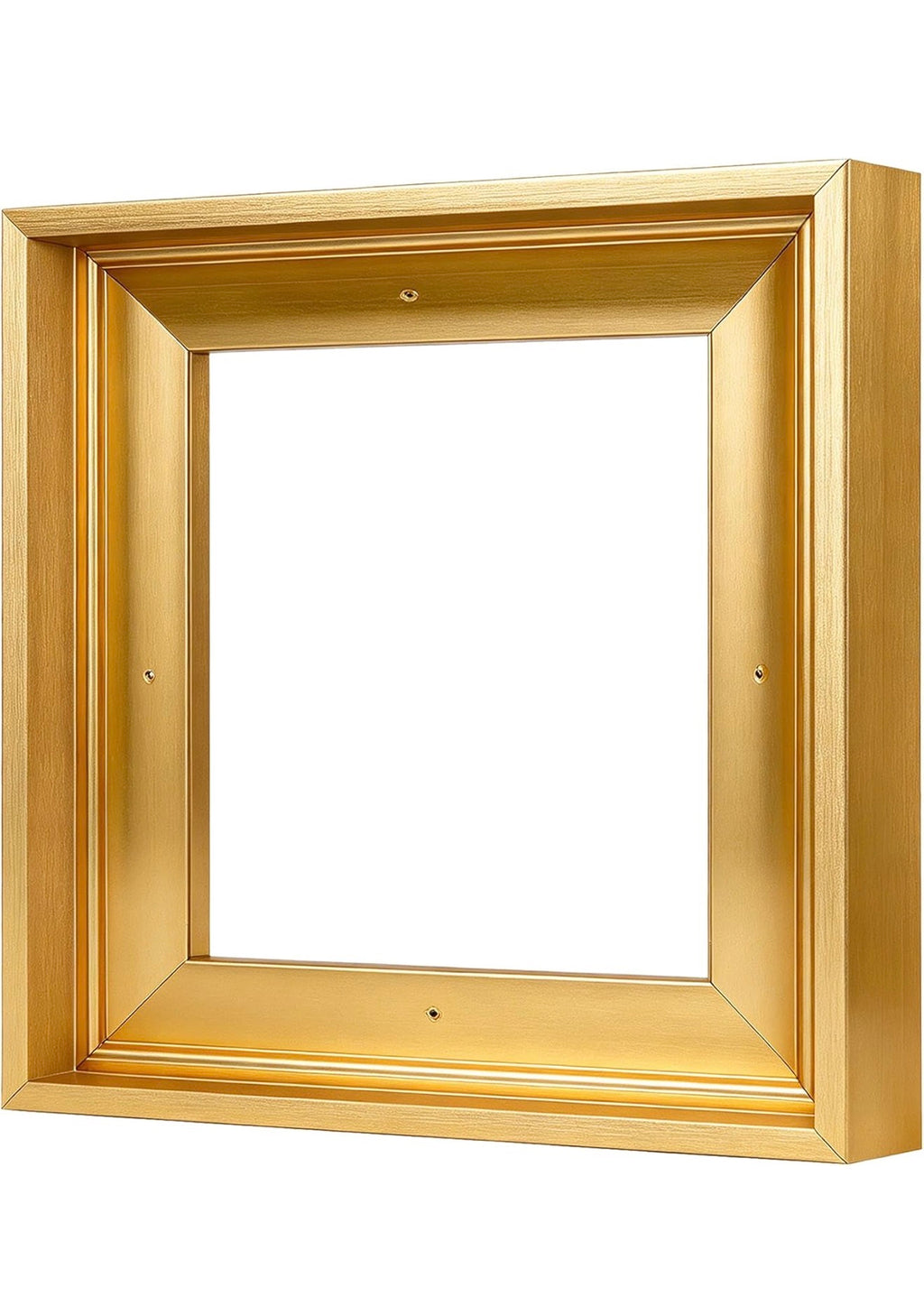 36x48 Gallery 1.25" Canvas Frame - The Living Abstract