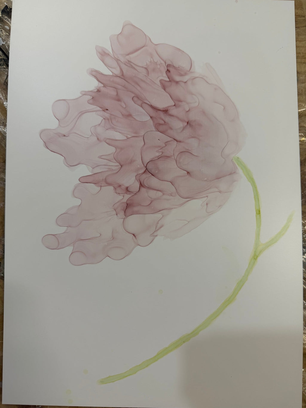 Pink Peony - The Living Abstract